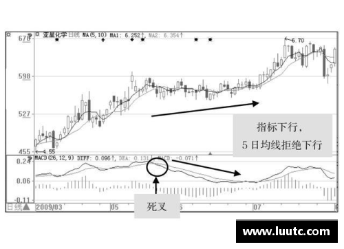 排球场上的位置战略与角色演变
